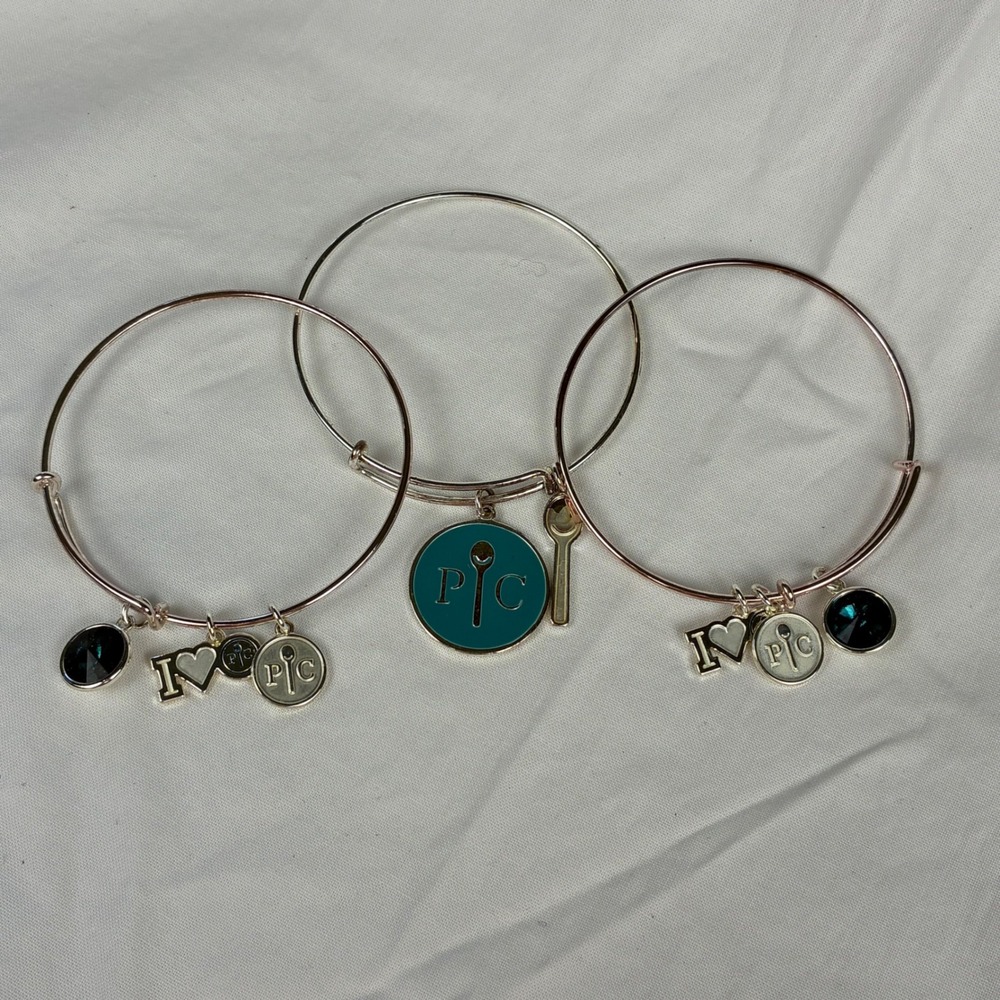 Pampered Chef Alex and Ani Style Charm Bangle Bracelet Set of 3 Collectible